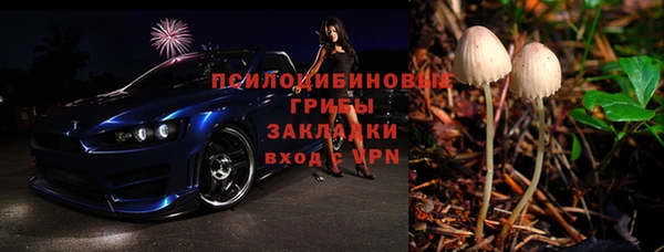 соль ск Ельня