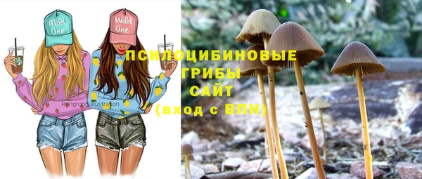 молекула духа Алексеевка